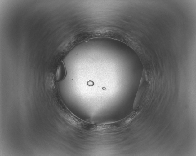 X0000053070758200507251459