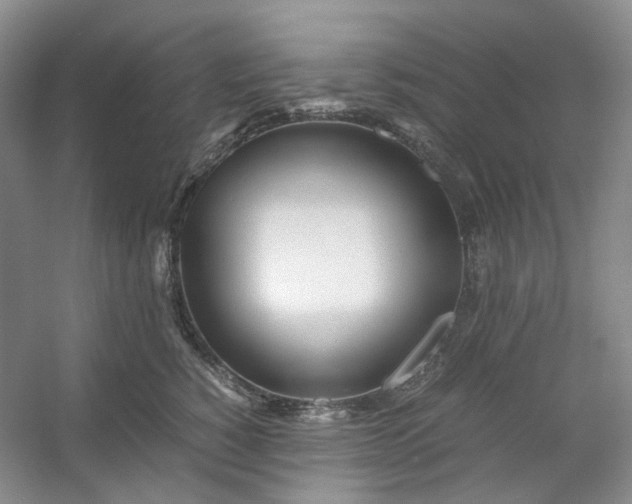 X0000053070760200507251459