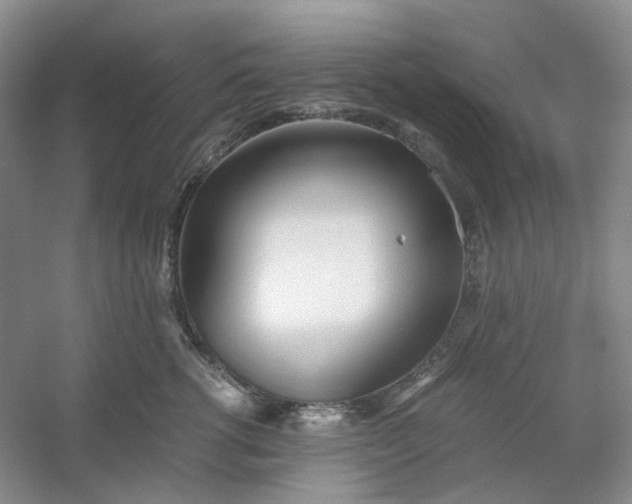 X0000053070762200507251459