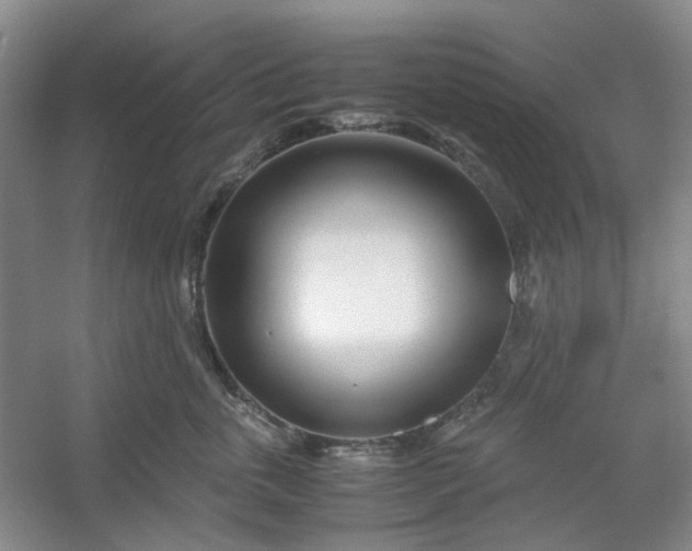 X0000053070763200507251459