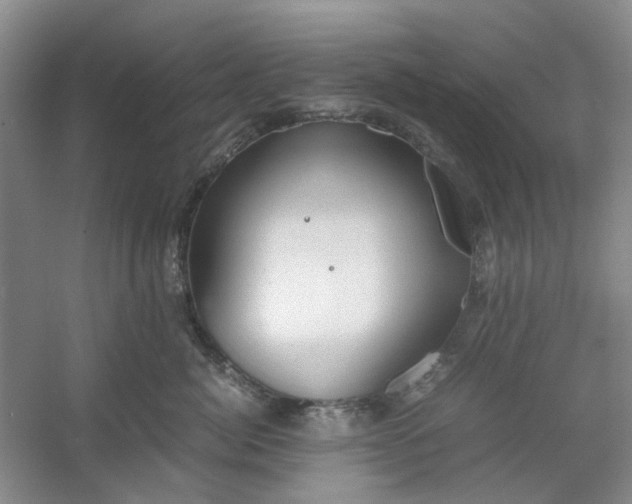 X0000053070764200507251459