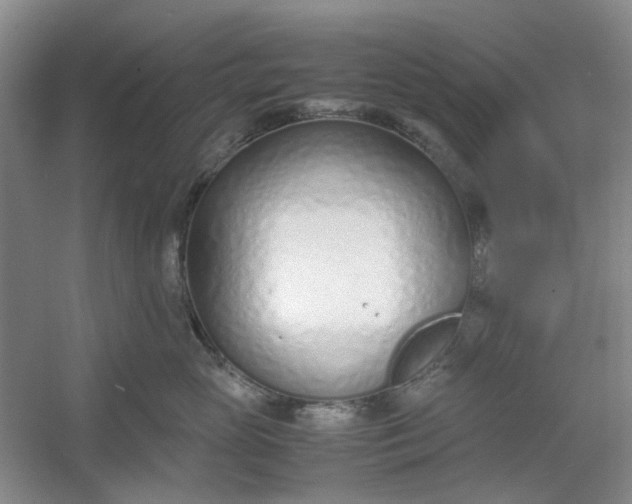 X0000053070765200507251459