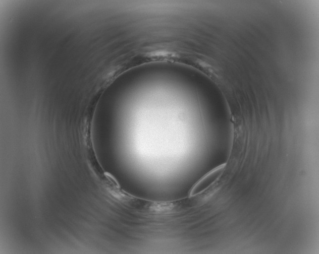 X0000053070767200507251459