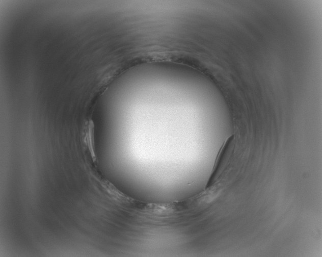 X0000053070768200507251459