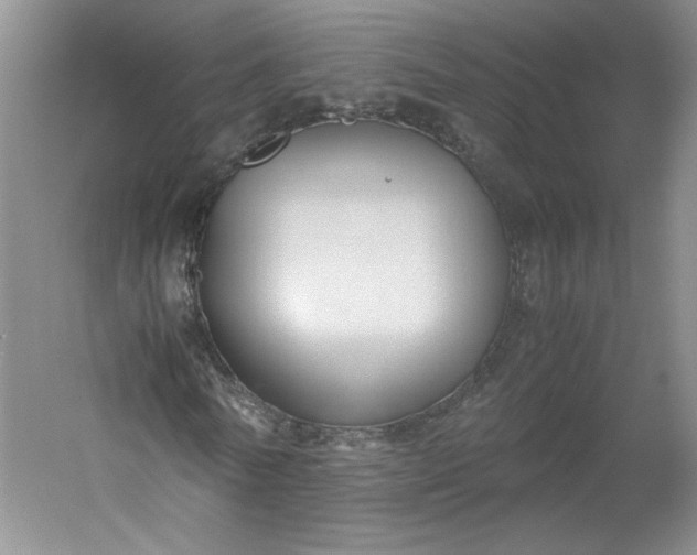 X0000053070770200507251459