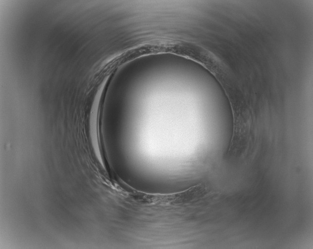 X0000053070773200507251458