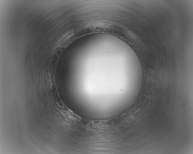 X0000053070774200507251458