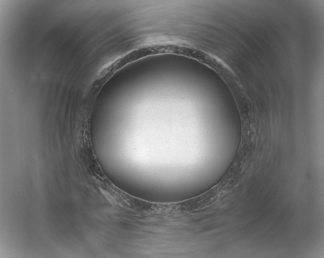 X0000053070775200507251458