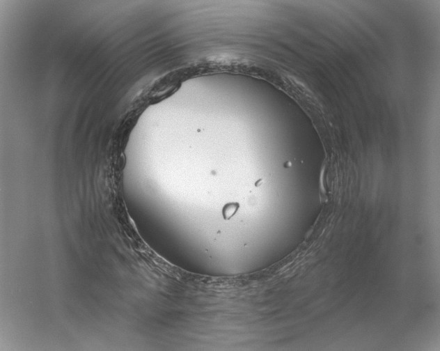 X0000053070776200507251458