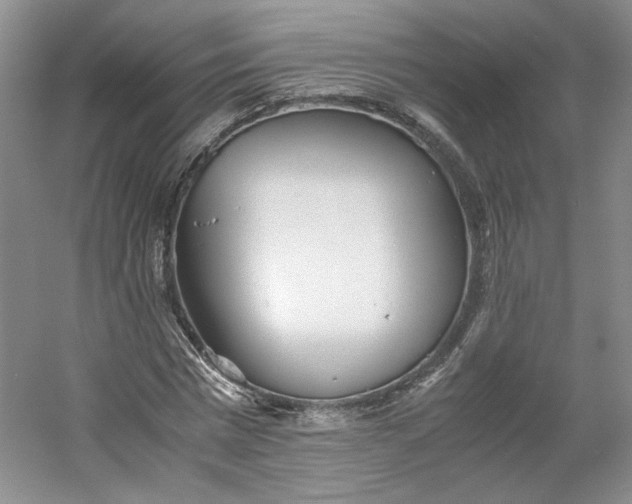 X0000053070777200507251458