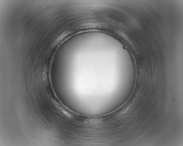 X0000053070778200507251458