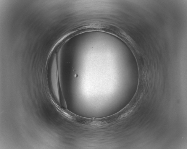 X0000053070779200507251458