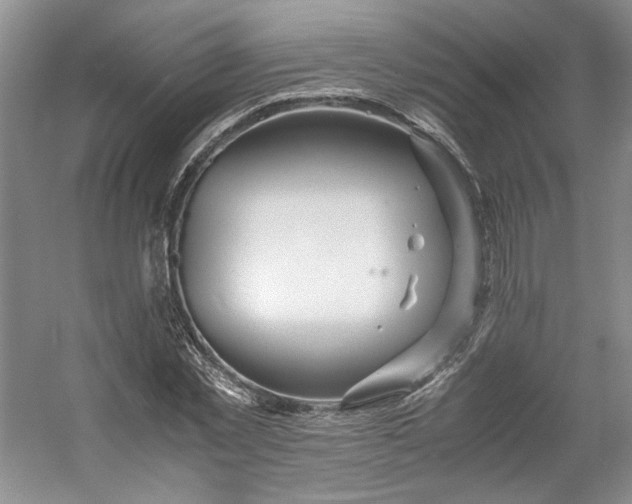 X0000053070781200507251458