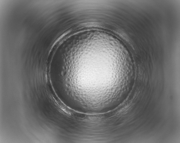 X0000053070782200507251458