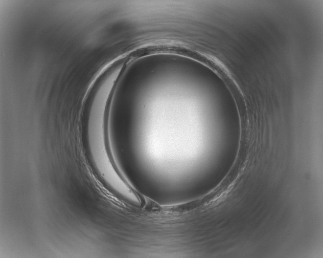 X0000053070783200507251458