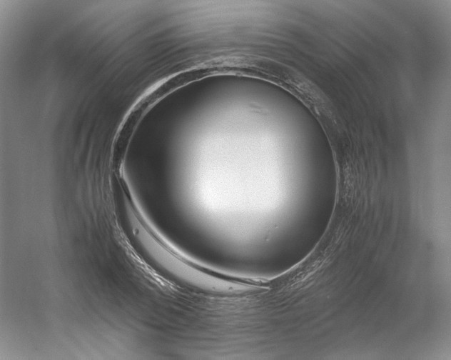 X0000053070784200507251458