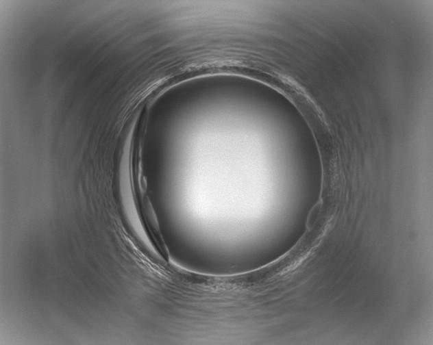 X0000053070785200507251458