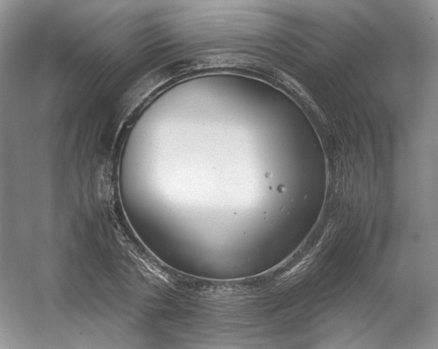 X0000053070786200507251458