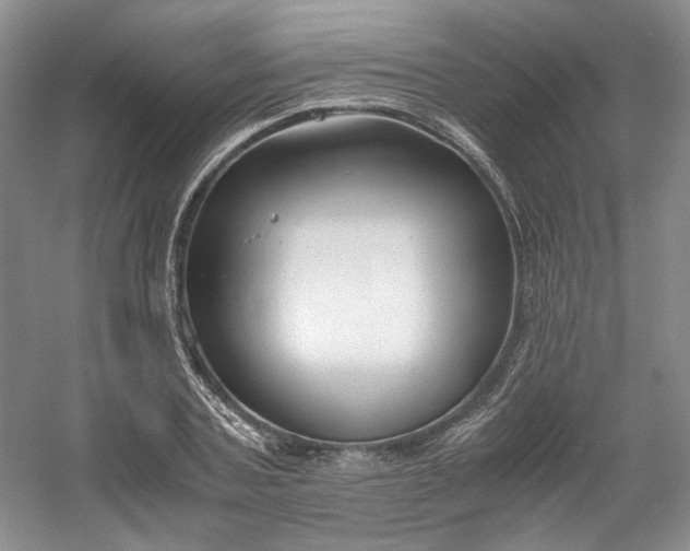 X0000053070787200507251458