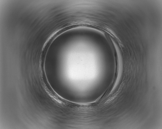 X0000053070788200507251458