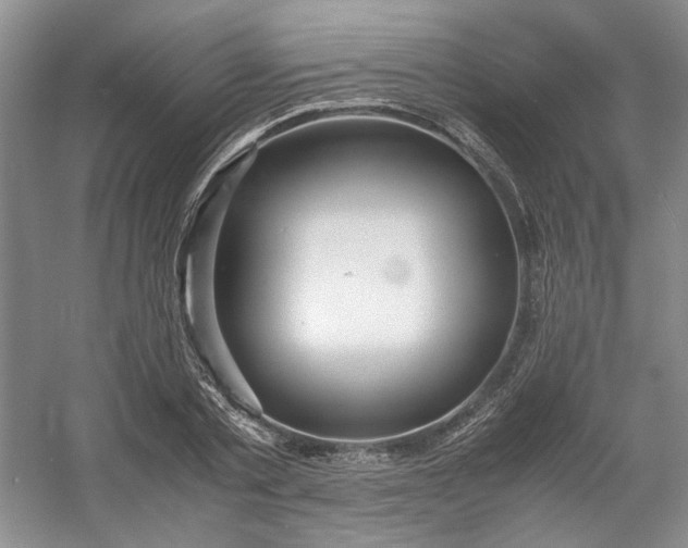 X0000053070789200507251458