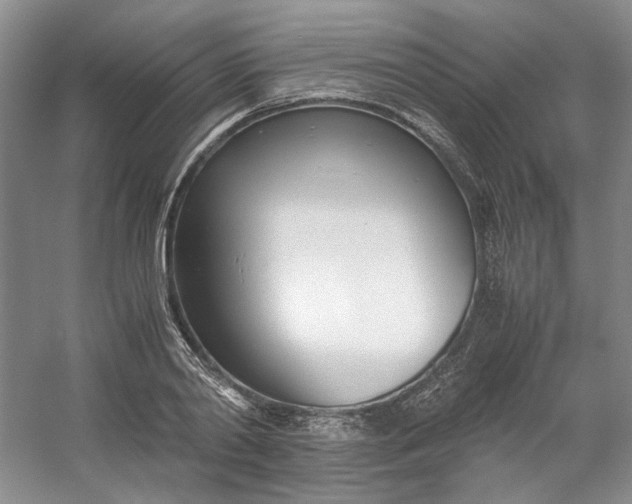 X0000053070790200507251458