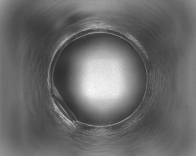 X0000053070791200507251458