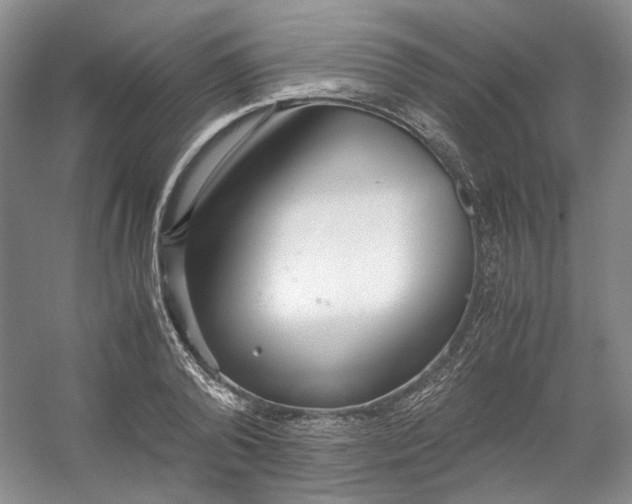 X0000053070792200507251458