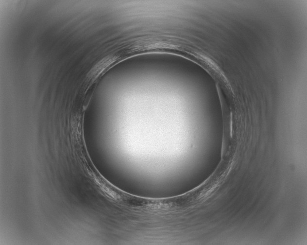 X0000053070793200507251458