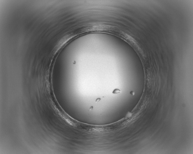 X0000053070794200507251458