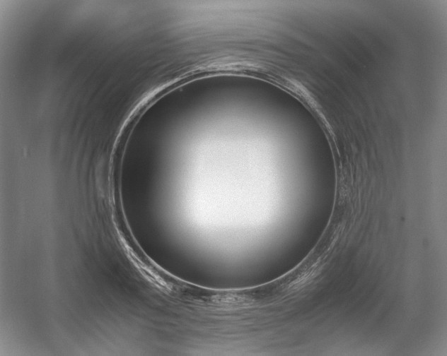 X0000053070795200507251458