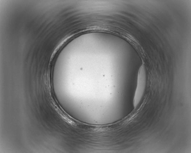 X0000053070796200507251458