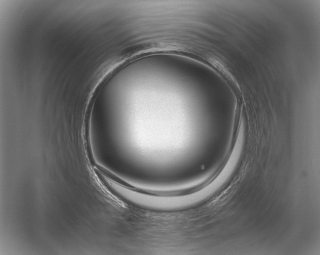 X0000053070797200507251458