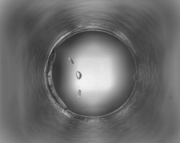 X0000053070798200507251458