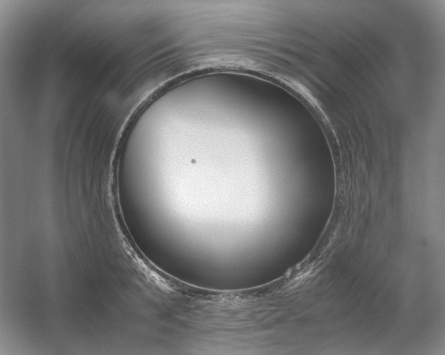 X0000053070799200507251458