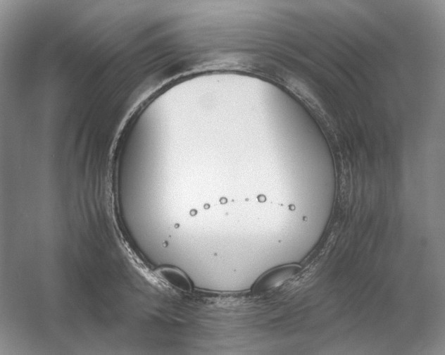 X0000053070800200507251458