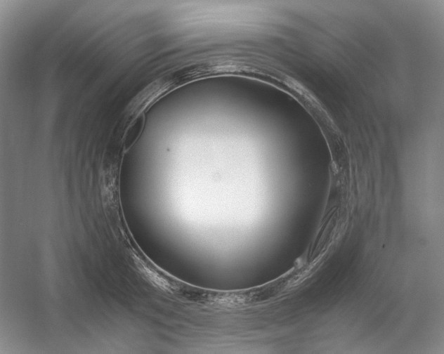 X0000053070801200507251458