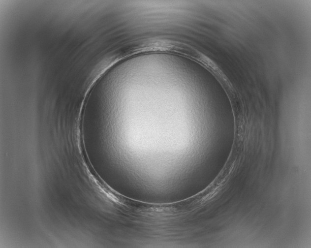 X0000053070802200507251458