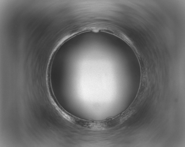 X0000053070803200507251458