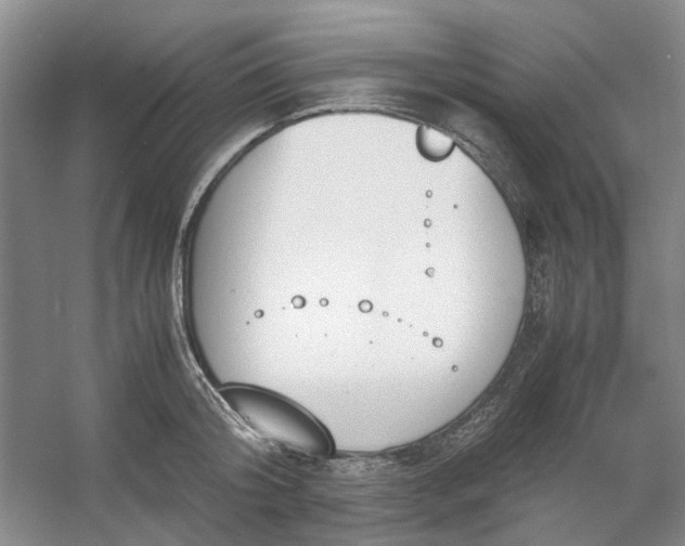 X0000053070804200507251458