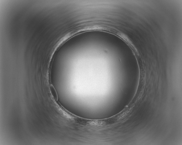 X0000053070805200507251458