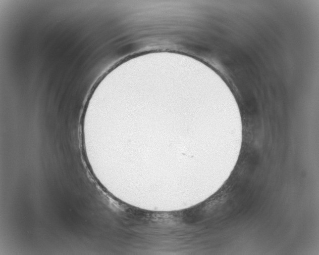 X0000053070807200507251458