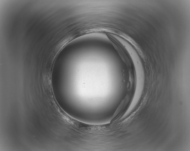 X0000053070809200507251458