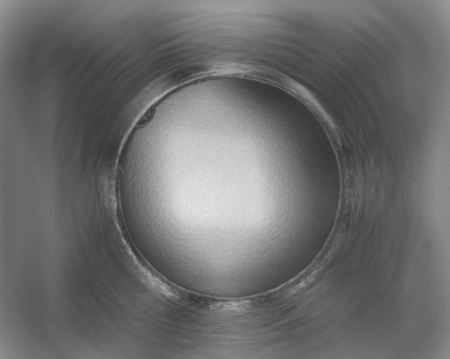 X0000053070810200507251458