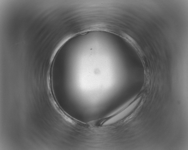 X0000053070812200507251458