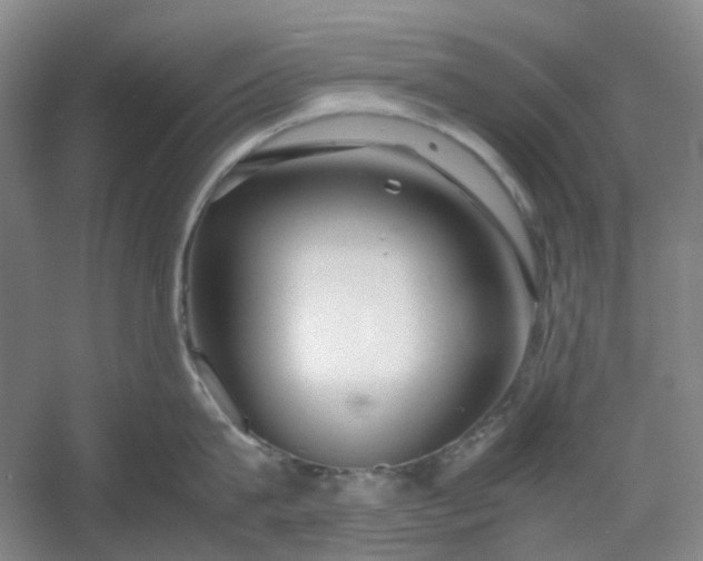 X0000053070815200507251458