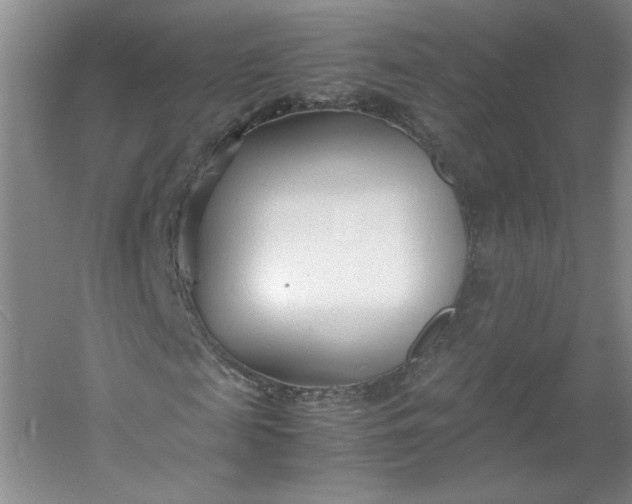 X0000053070817200507251457