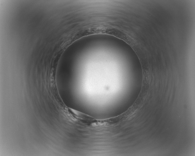 X0000053070818200507251457