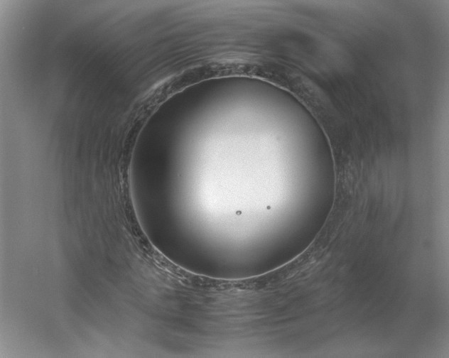 X0000053070821200507251457