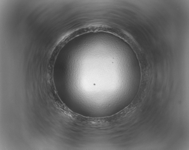 X0000053070823200507251457